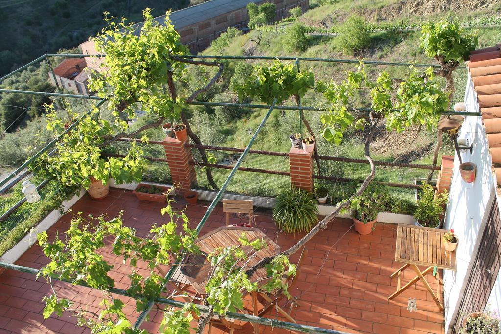 Cal Millo Villa Vilella Alta Exterior photo